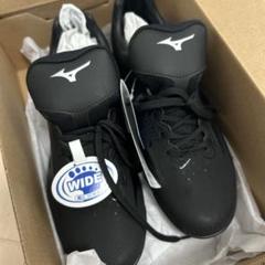 【値下げ交渉可 】Mizuno ウェーブライトレポ 24.5cm WIDE