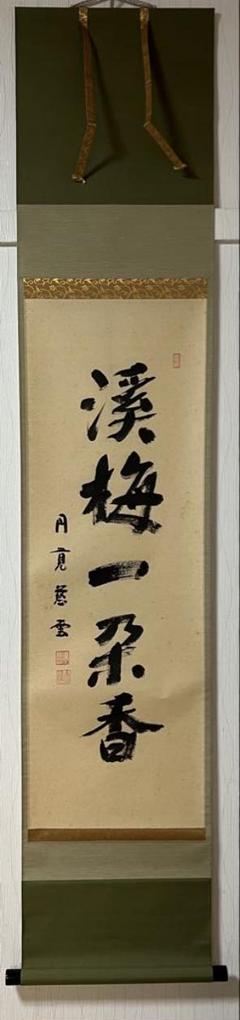 日本の書道 色紙 12枚セット 円覚慈雲 2025年最新】円覚慈雲の人気アイテム - メルカリ
