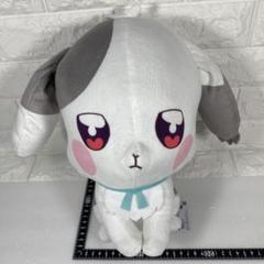 わんだふるぷりきゅあ　兎山大福　ぬいぐるみバッジ　ヘアゴム　カード　4点セット わんだふるぷりきゅあ! キュアフレンズぬいぐるみ 兎山大福