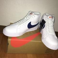 Nike Sb Orangeの中古 未使用品を探そう メルカリ