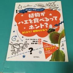 植物がハエを食べるってホント? : おしえて!植物のひみつ