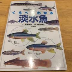 くらべてわかる淡水魚 : 識別ポイントで見分ける