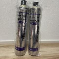 PENTAIR EVERPURE 4CB5-S ヘッド付き浄水器カートリッジ Amazon.com: Everpure 7Cb5-S Cartridge 1Pk EV961821 - Genuine