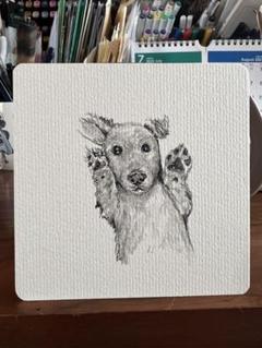 犬のペン画（フレーム付き）wan-131