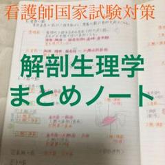 看護師国家試験まとめノート 国試 看護学生　解剖生理 レビューブックに 】看護学生 国試対策 解剖生理学まとめノート