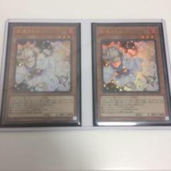 遊戯王 灰流うらら ウルトラレア2枚