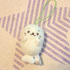 しろたん ブラックホーリー ぬいぐるみ 《しろたん》 単品