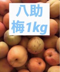 ✴︎無農薬品✴︎ 青森県産　八助　八助梅　箱込み10キロ　完熟前 2025年最新】八助梅の人気アイテム - メルカリ