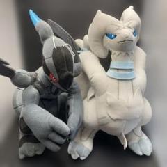 ポケモン　BW スーパーDXぬいぐるみ　レシラム&ゼクロム　バンプレスト　大きめ ポケモン BW スーパーDXぬいぐるみ レシラム&ゼクロム
