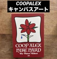 【数々のアワードを受賞】 2025年最新】coopalexの人気アイテム メルカリ - テント・タープ