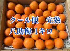 クール便　完熟　八助梅のサムネイル
