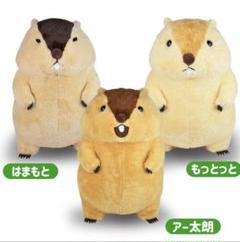 マーモットのもっとっと　 ぬいぐるみ　アー太郎　もっともっと2点セット マーモットのもっとっと ぬいぐるみ アー太郎 もっともっと2点