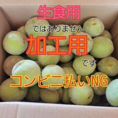 摘果桃 若桃 加工用 2キロ - メルカリ