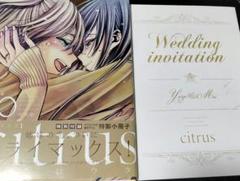 サブロウタ　シトラス citrus 10巻　特装版　小冊子付き　初版　未開封 citrus 10 【特装版】 特製小冊子付き (IDコミックス/百合姫