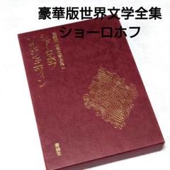 豪華版世界文学全集30 ショーロホフ 『ソルジェニツィン』 文学 小説 本 書籍