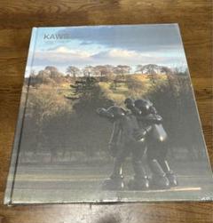 KAWS at Yorkshire Sculpture Park カウズ写真集