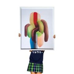 人気☆ロナン・ブルレック☆正規輸入品☆新品未開封☆北欧