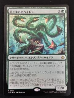 苔生まれのハイドラ　日本語拡張版フルアート　４枚セット FOIL】【英】苔生まれのハイドラ/Mossborn Hydra[緑R]【FDN