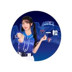 2025年最新】wbc クッションの人気アイテム - メルカリ
