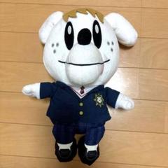 2025年最新】佐野玲於 ぬいぐるみの人気アイテム - メルカリ