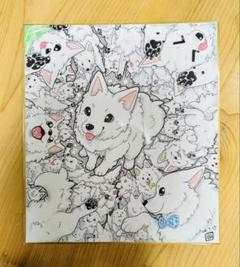日本スピッツ！ 大色紙 原画
