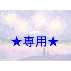 Nさま専用（原画）富士山と花火【A5サイズ／水彩画／#2452】 Nさま専用（原画）富士山と花火【A5サイズ／水彩画／#2452