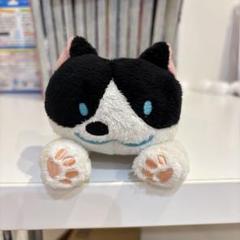 つみネコ　ぬいぐるみ　5匹セット Amazon.co.jp: つみネコ ぬいぐるみ 4種類セット : おもちゃ