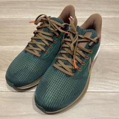 【新品未使用】ナイキ ペガサス 39 AIR HOLA LOU 27.5㎝