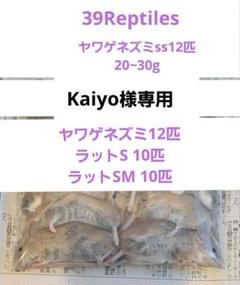 kaiyo冷凍ヤワゲネズミ12匹 ラットS 10匹 ラットSM 10匹 kaiyo様専用冷凍ヤワゲネズミ12匹 ラットS 10匹 ラットSM 10匹