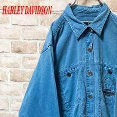 【希少】HARLEY DAVIDSON ハーレー　長袖シャツ　刺繍　レディース
