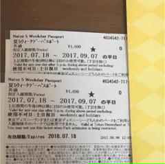 ディズニー ２デーパスポートの中古 未使用品 メルカリ