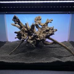 MSRW-5144 天然流木レイアウトセット　スリムウッド　アクアリウム MSRW-5644 天然流木レイアウトセット スリムウッド アクアリウム