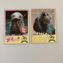 2025年最新】鳥羽水族館 70周年の人気アイテム - メルカリ