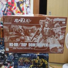 HGUC 1/144 ドムトローペン(ユニコーンVer.)のサムネイル