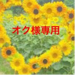 オク様専用