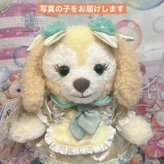 バケーションパッケージ限定 カラフルハピネス ポージー