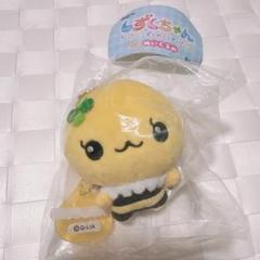 しずくちゃん ハニーちゃん ガチャガチャ