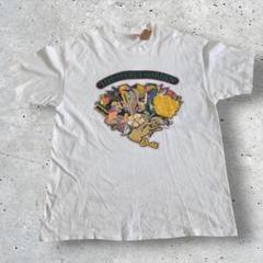 90s USA製 Hanes ヘインズ ヴィンテージTシャツ XL 古着 アートのサムネイル