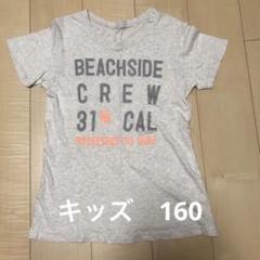 薄グレー　ロゴ　Tシャツ　シンプル　半袖　キッズ　160
