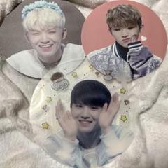 SEVENTEEN ウジ うちわ プレミアムフォト セット - メルカリ