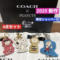 2025年最新】スヌーピーチャームcoachの人気アイテム - メルカリ