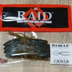 RAIDJAPAN