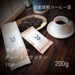 【チョコのような甘み】エクアドル グレートマウンテン 17UP　200gのサムネイル