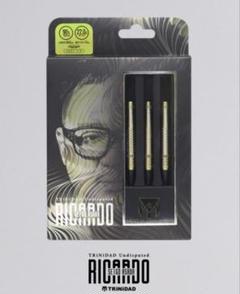 リカルド ロペス 浅田斉吾モデル 中古 K FLEX No6 緑 フライト