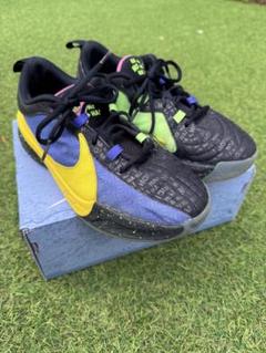 ナイキ ヤニスフリーク 5 “DAD JOKE” バッシュ　Nike