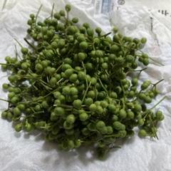 庭の花山椒120グラム　無農薬　本日発送　メルカリ便 庭の花山椒 120グラム 無農薬。本日発送 メルカリ便 - メルカリ