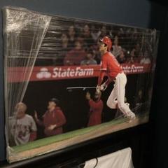 大谷翔平 キャンバスアート エンゼルス 実使用397シリ ホームラン