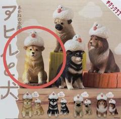 熊（小）（座り）2体 柴犬（ヒコーキ耳）　木彫り　置物 犬じゃないし、鯛焼きでもない。 #木彫り熊 #木彫りの熊 #熊彫