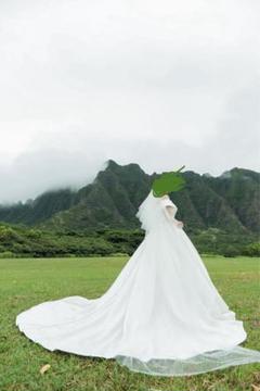 ウェディングドレス　ベール　グローブ　付き　Mサイズ　YNS YNS WEDDING パニエ&ベール&グローブ付き☆ ウェディングドレス