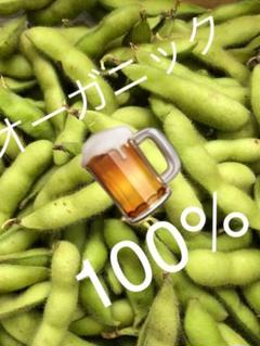 枝豆 (愛媛県産 無農薬)